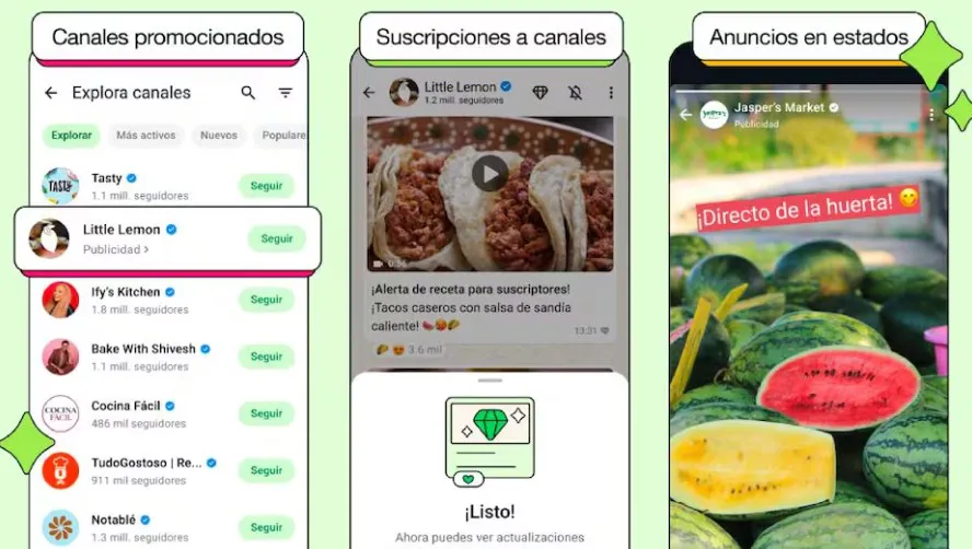 Captura de pantalla 2025-06-18 074050