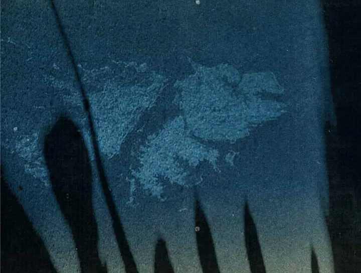 FB_IMG_1712060594015