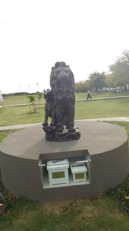 WhatsApp Image 2021-07-11 at 20.11.47 (1)