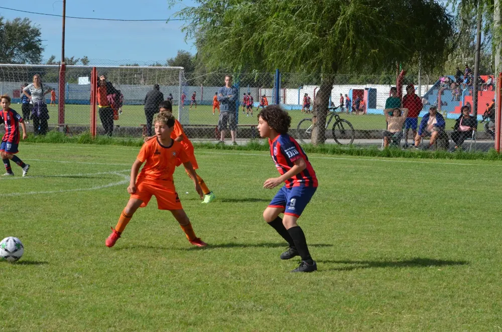 WhatsApp Image 2025-03-31 at 16.38.00