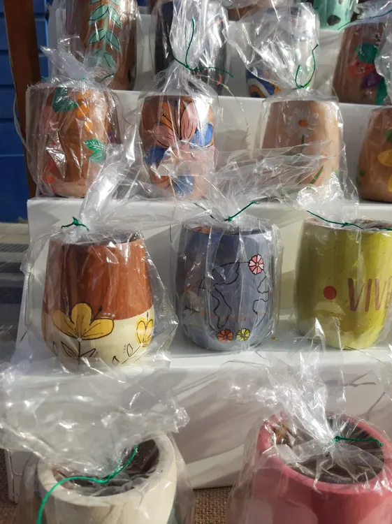 CUADERNOS Y MATES LIRIOS (1)