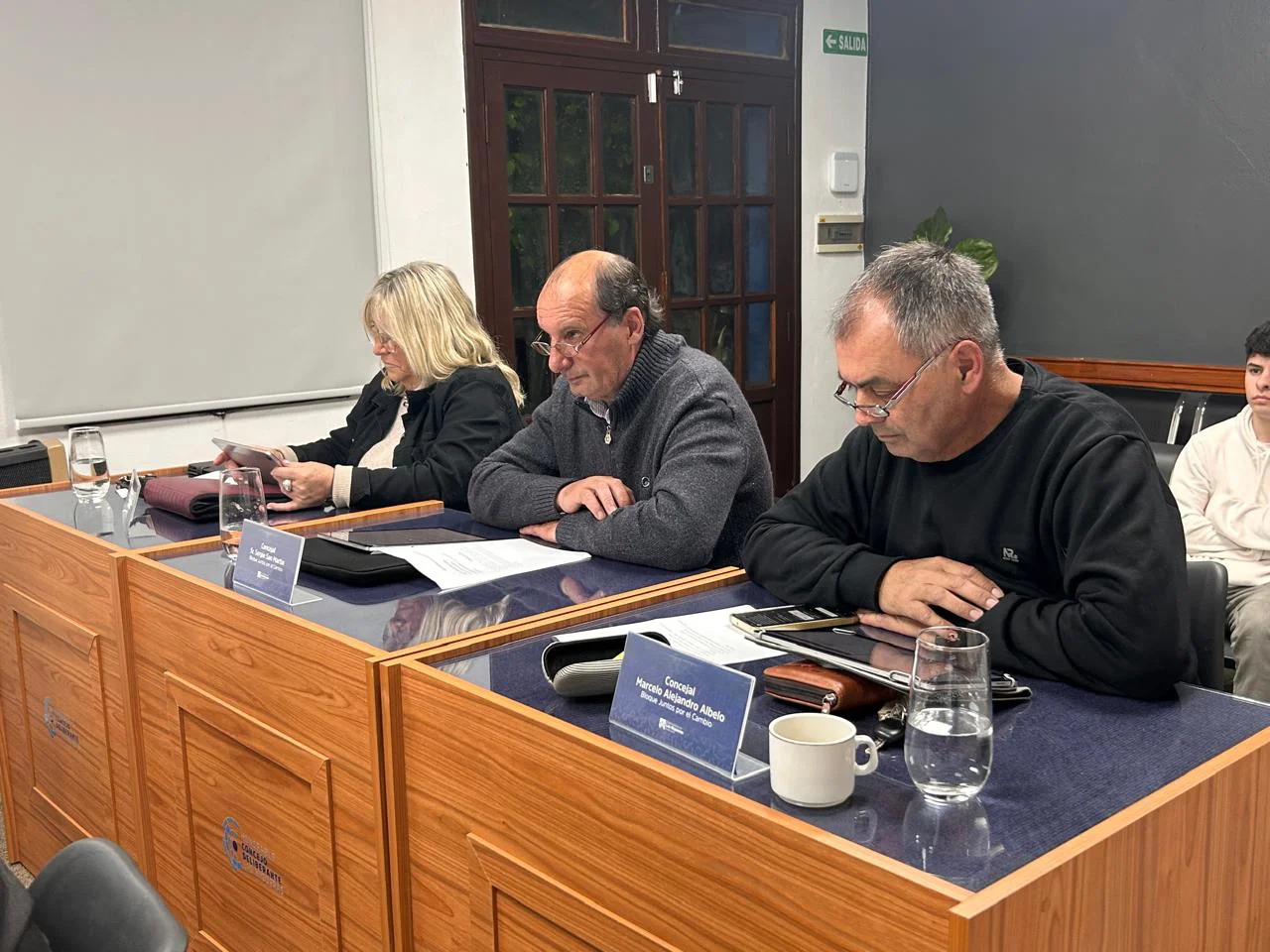 concejo deliberante