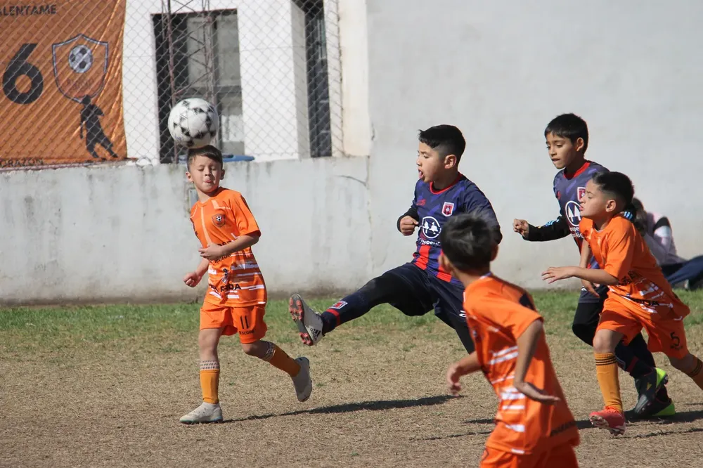 Centro Social Infanto Juvenil Renato Cesarini Olaeta Socialeritas (17)