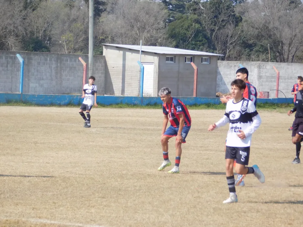 WhatsApp Image 2024-08-19 at 15.04.47 (8)