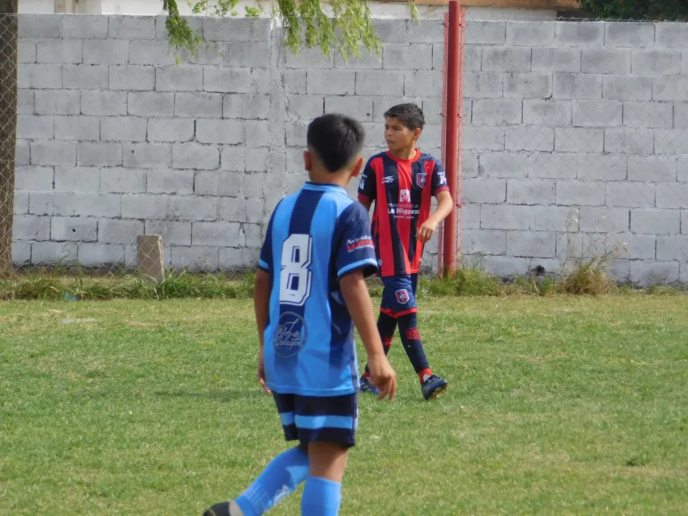 WhatsApp Image 2024-10-12 at 11.06.24