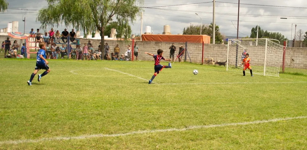 Infanto Juveniles Fecha 1 2024 (11)