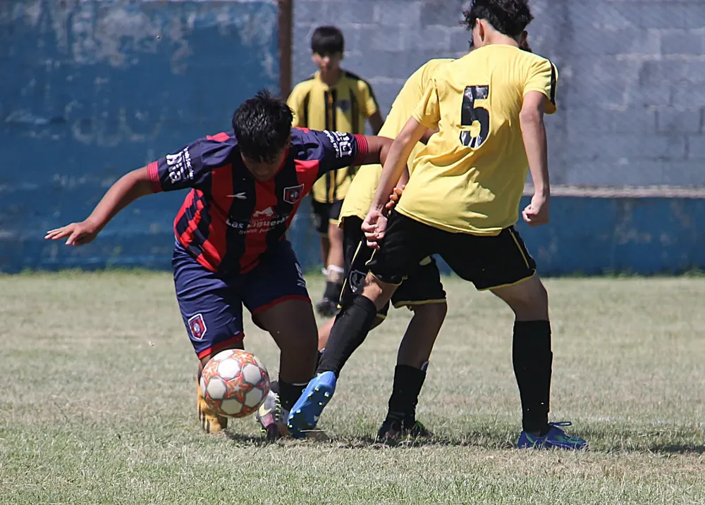 WhatsApp Image 2025-02-23 at 10.53.47