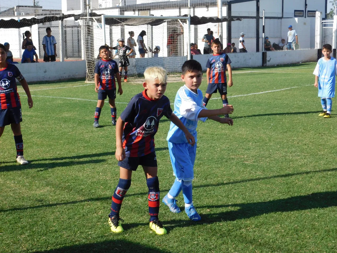 Semifinales Blaugranas Azulgranas  (87)