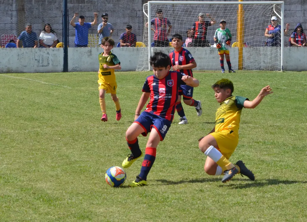 WhatsApp Image 2025-11-08 at 20.54.13