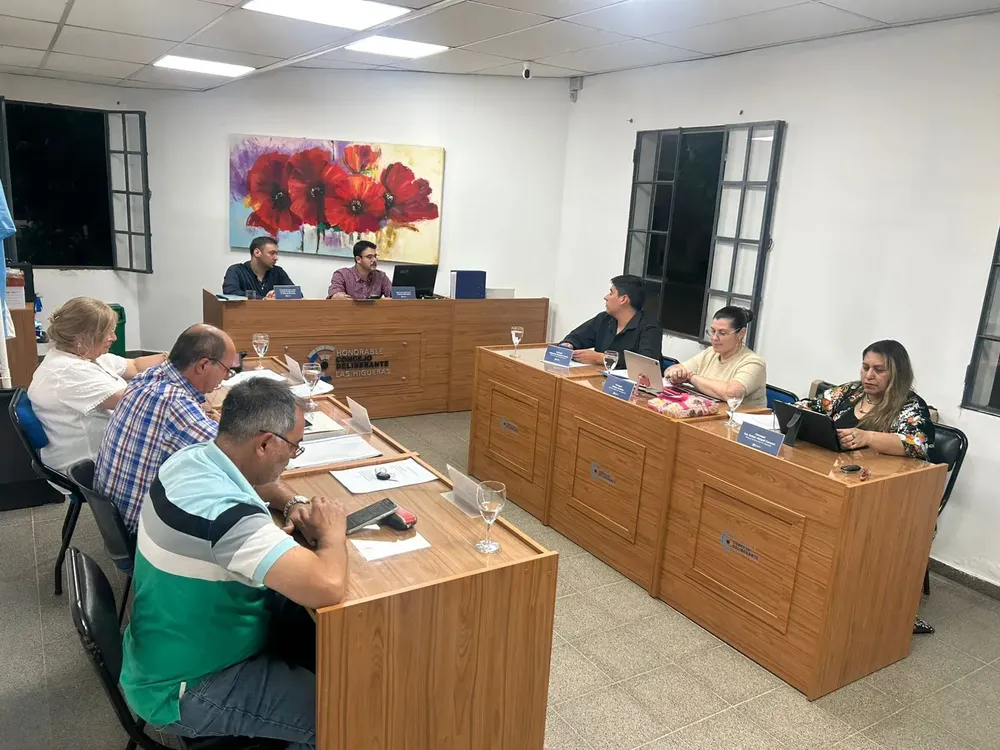 CONCEJO DELIBERANTE