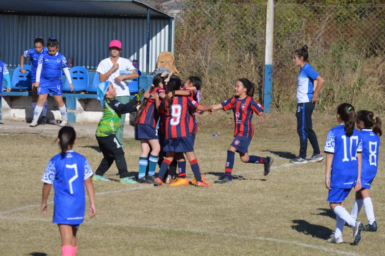 WhatsApp Image 2024-06-10 at 18.52.30