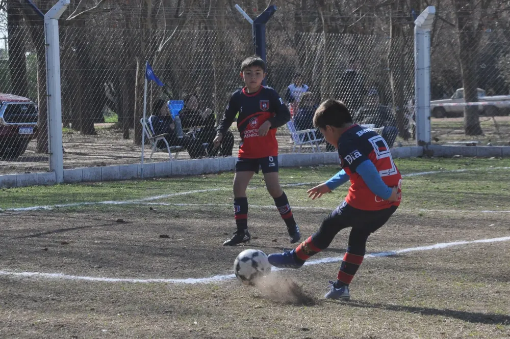 Centro Social Infanto Juvenil Renato Cesarini Olaeta Socialeritas (238)