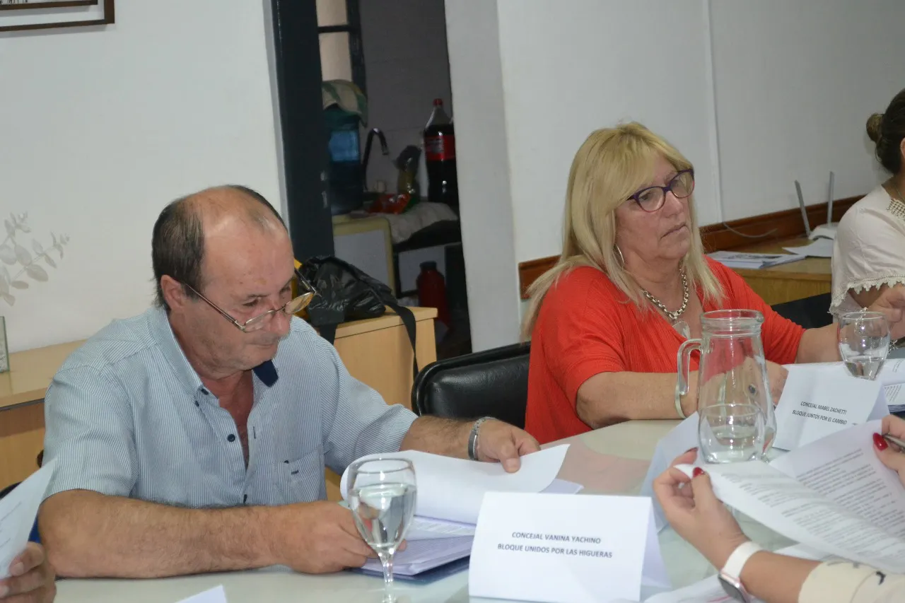 Concejo Deliberante Las Higueras  (17)