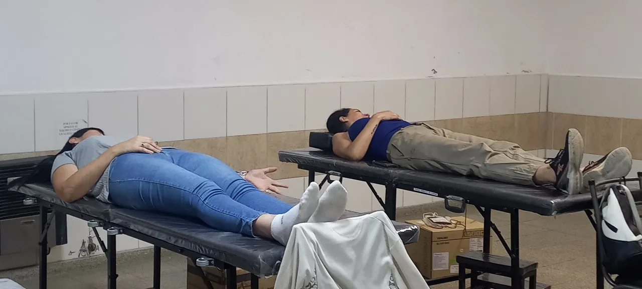 COLECTA NOVIEMBRE (3)