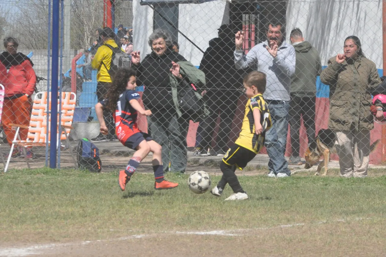 Centro Social Deportivo Municipal Acción Juvenil Socialeritas (93)