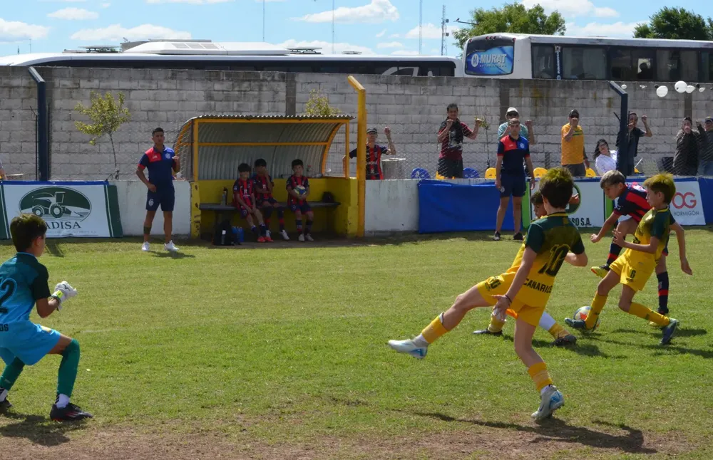 WhatsApp Image 2025-11-08 at 20.54.13 (4)