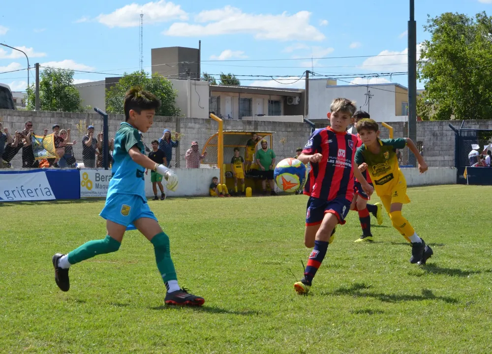 WhatsApp Image 2025-11-08 at 20.54.13 (2)