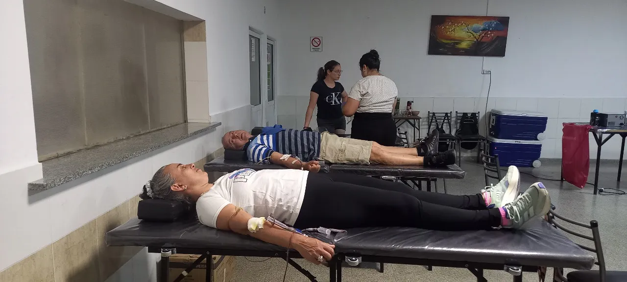 COLECTA NOVIEMBRE (5)