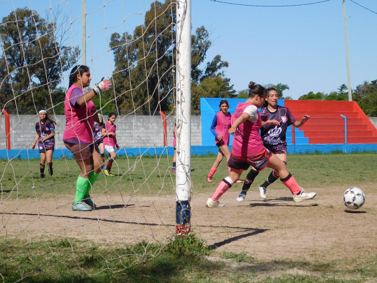 SOCIALERITAS (5)