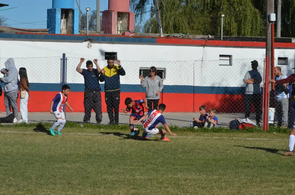 IMG-20250531-WA0122