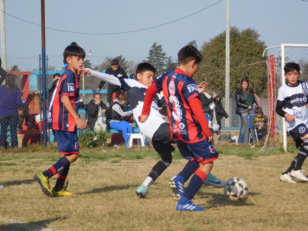 WhatsApp Image 2024-08-19 at 15.07.52