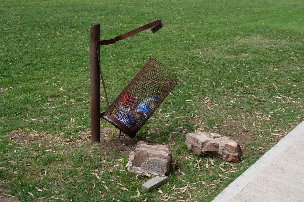 DAÑOS EN CESTOS (2)