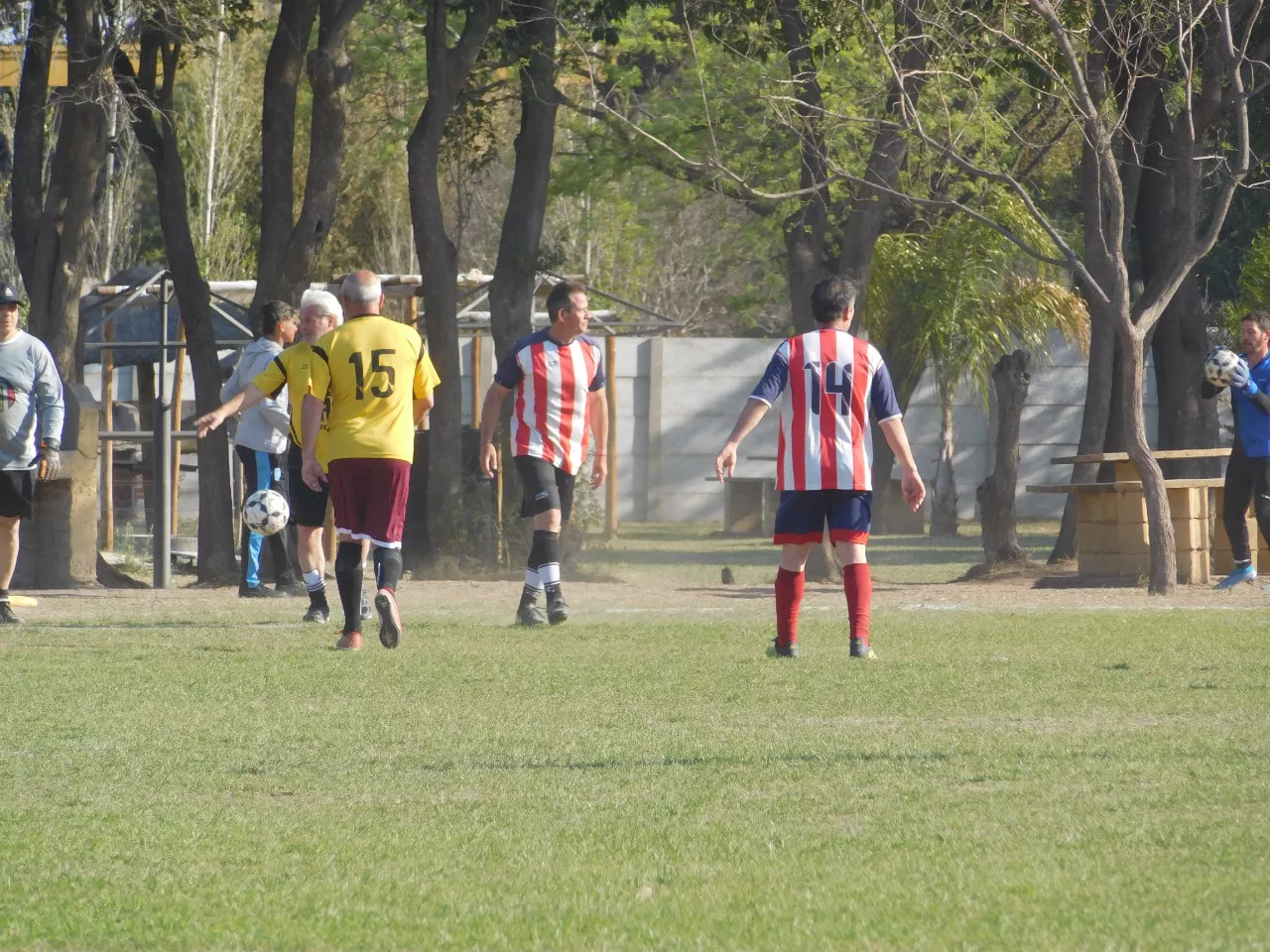 Profesionales Las Higueras (4)
