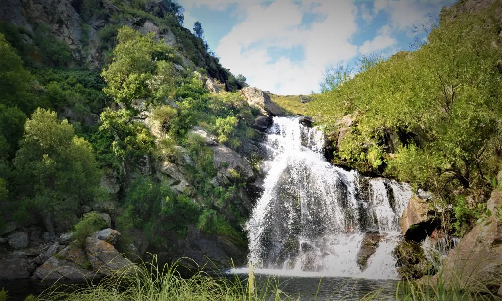 82786130_10215794043714507_8416021998861287424_n