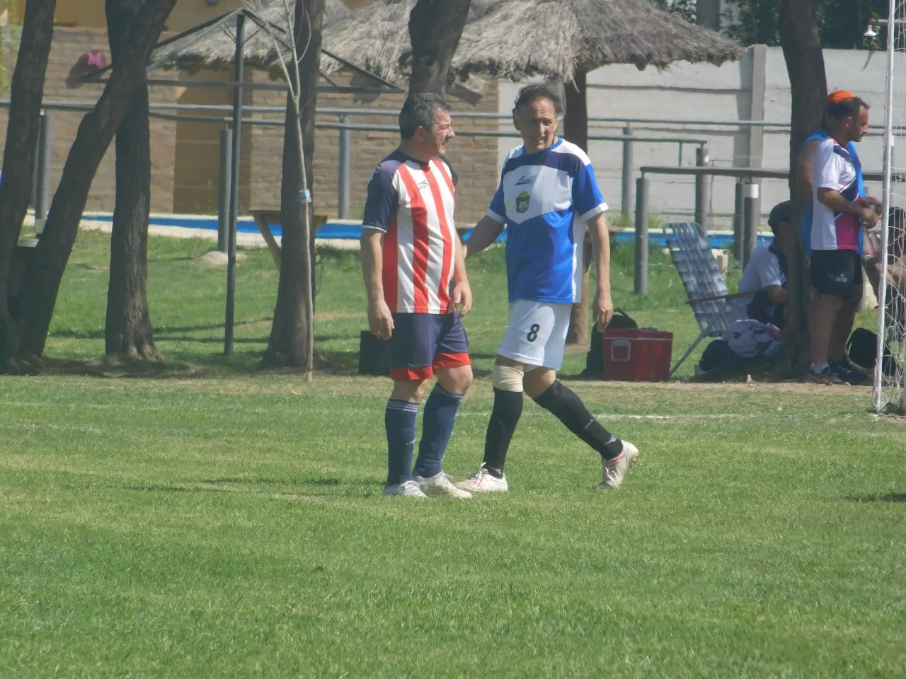 WhatsApp Image 2022-11-02 at 20.17.50