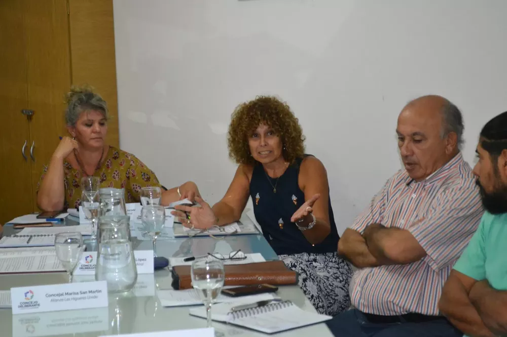 Concejo Deliberante Loteo 1 (5)