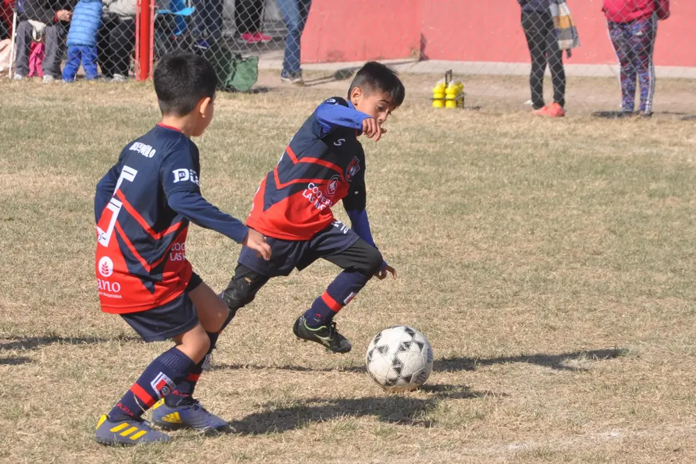 WhatsApp Image 2023-07-02 at 13.33.11 (11)