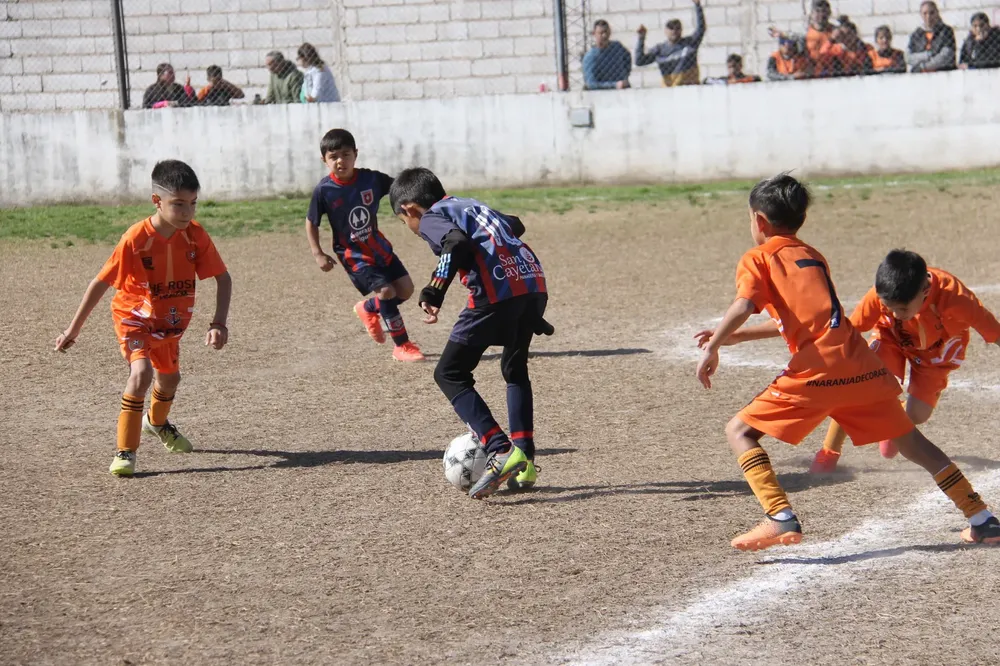Centro Social Infanto Juvenil Renato Cesarini Olaeta Socialeritas (13)