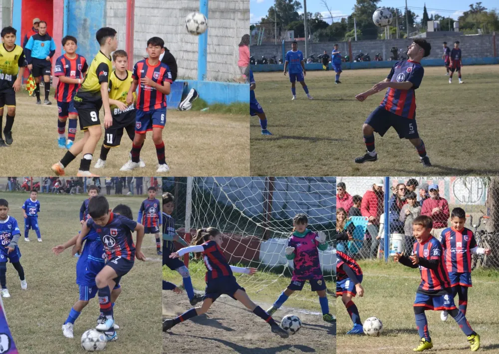 WhatsApp Image 2024-05-19 at 20.51.06