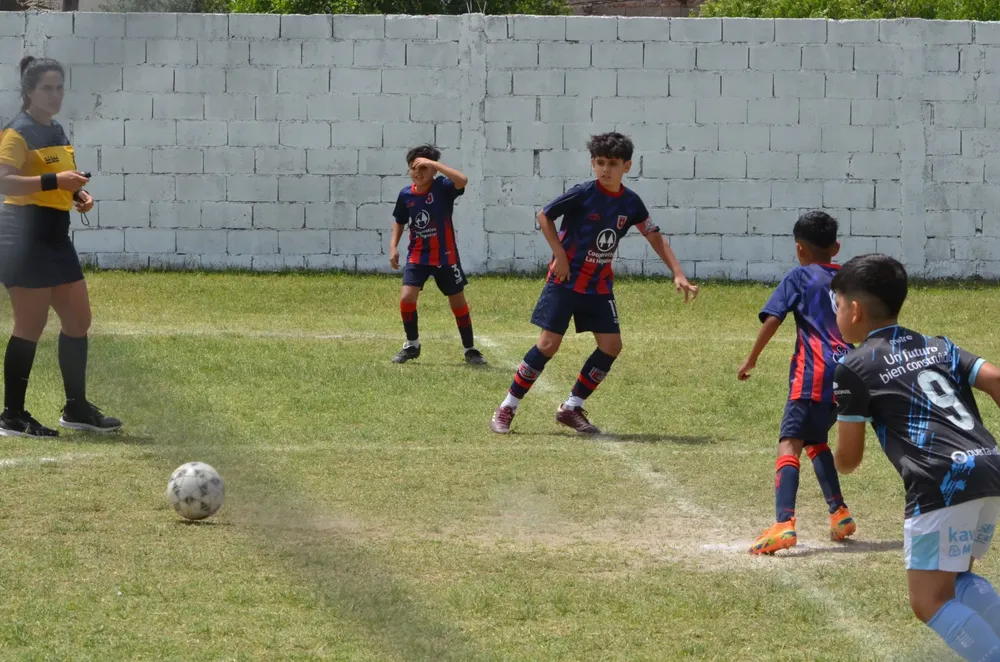 WhatsApp Image 2024-11-17 at 13.09.58 (5)