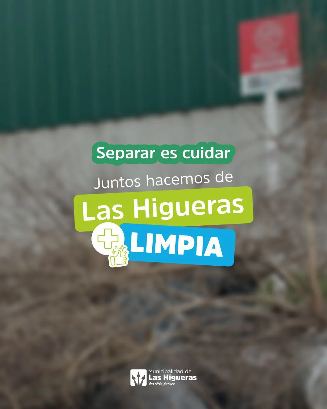 Imagen de WhatsApp 2025-09-24 a las 12.18.21_87803668