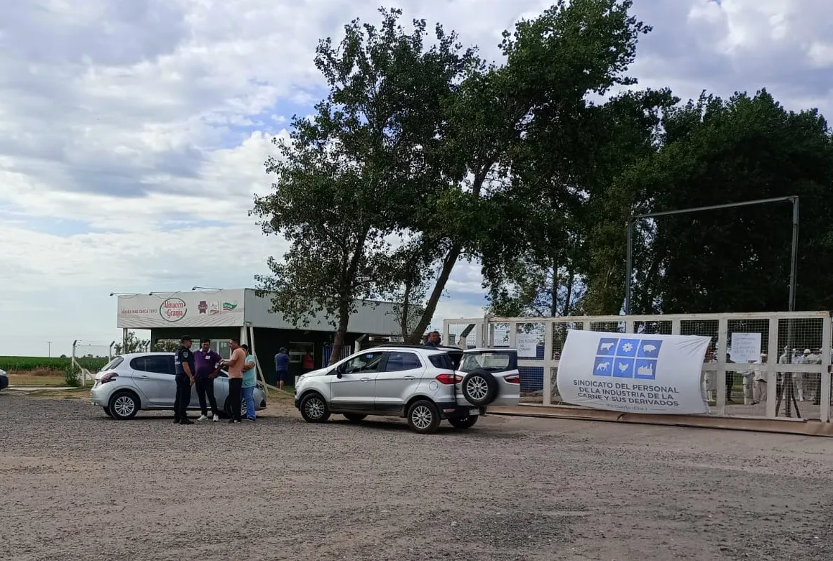 WhatsApp Image 2026-01-15 at 10.11.05 (1)