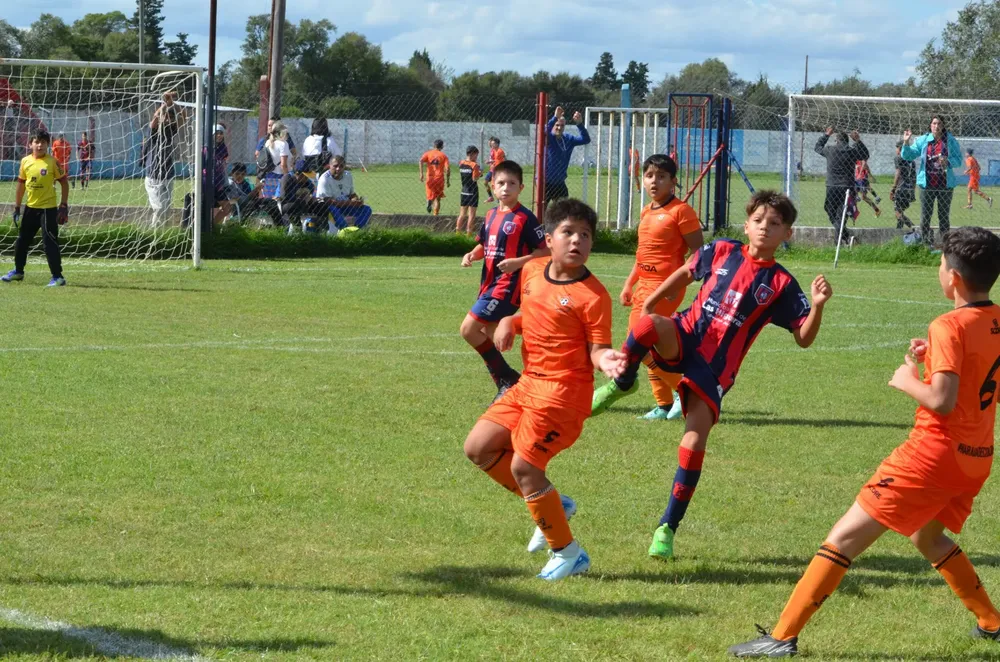 WhatsApp Image 2025-03-31 at 16.38.24