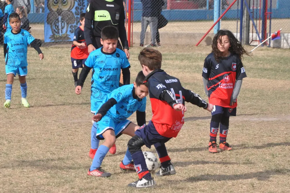 WhatsApp Image 2023-07-02 at 13.33.40 (18)