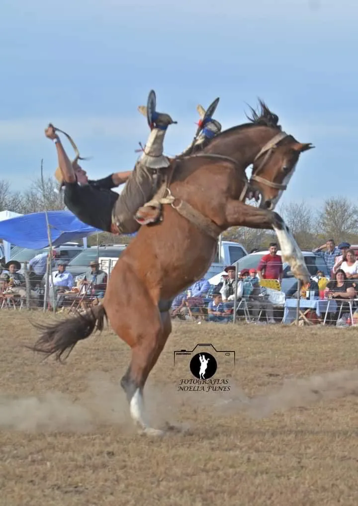 Imagen de WhatsApp 2025-06-21 a las 12.39.15_33658a52