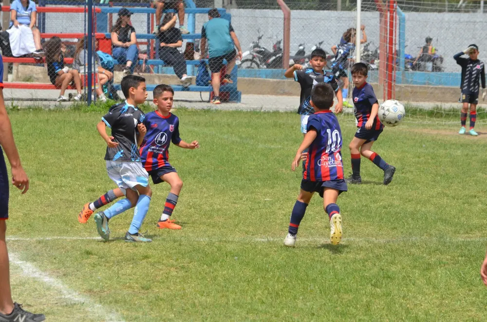 WhatsApp Image 2024-11-17 at 13.10.15