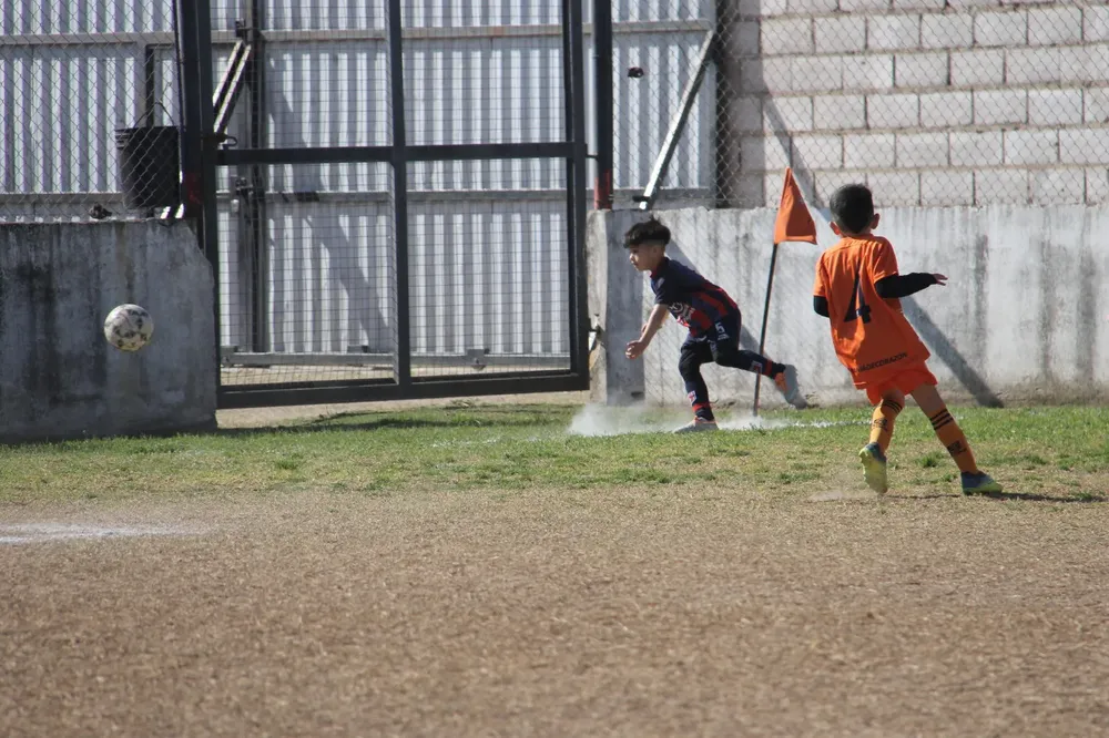 Centro Social Infanto Juvenil Renato Cesarini Olaeta Socialeritas (29)