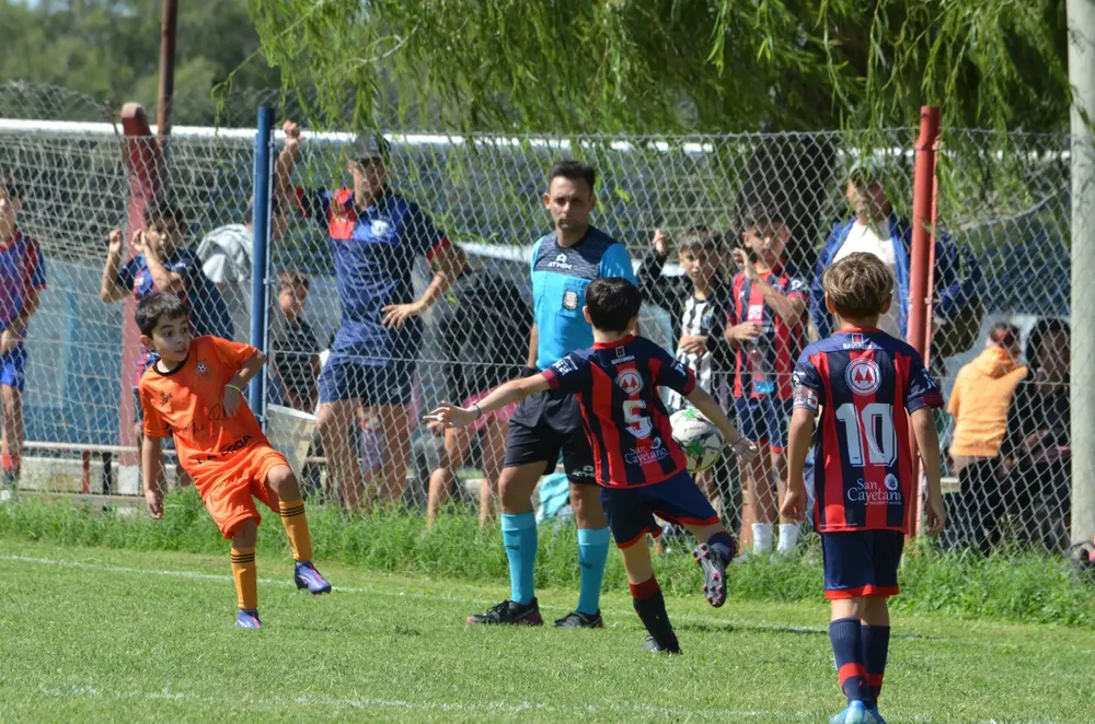 WhatsApp Image 2025-03-31 at 16.38.31 (7)