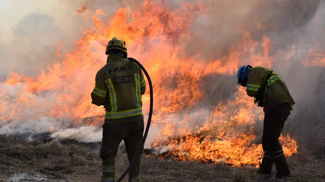 incendios forestales
