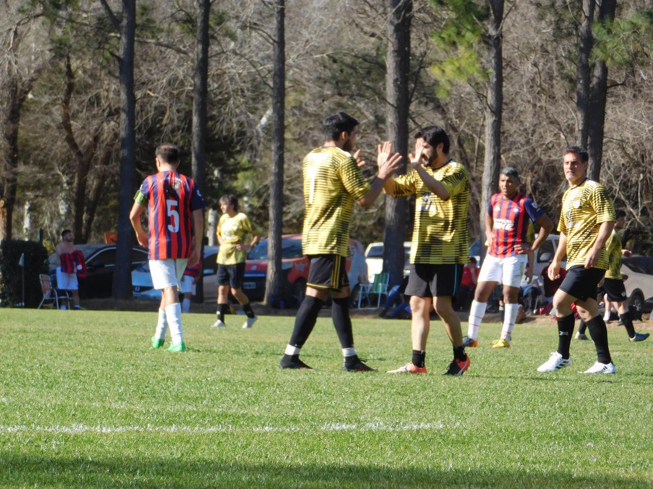 Profesionales Fecha 10 (16)