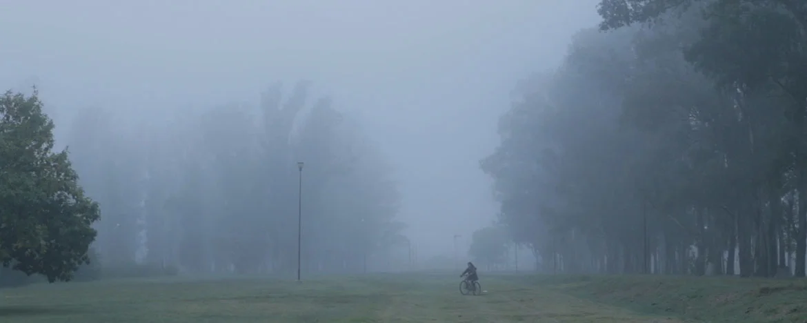 FB_IMG_171206059401511