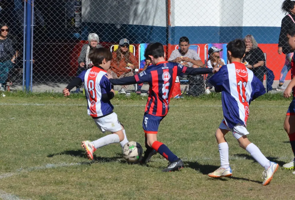 IMG-20250531-WA0087