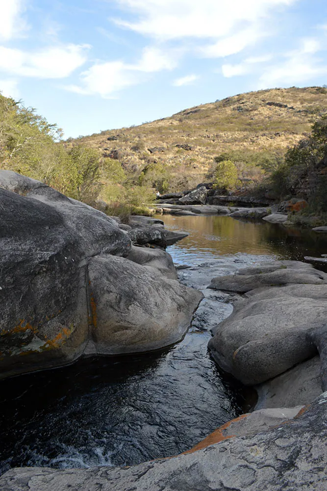 multimedia.normal.b9291e6620eac3a0.506965647261734c697361732d54616e74695f6e6f726d616c2e4a5047