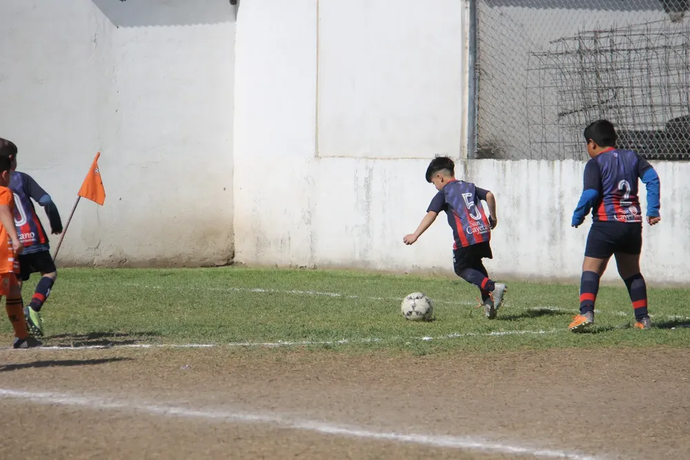 Centro Social Infanto Juvenil Renato Cesarini Olaeta Socialeritas (35)