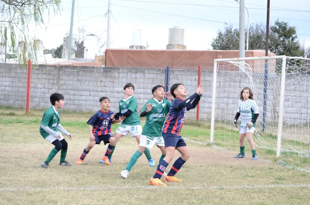 Centro Social Infanto Everton Banda Norte Socialeritas (83)