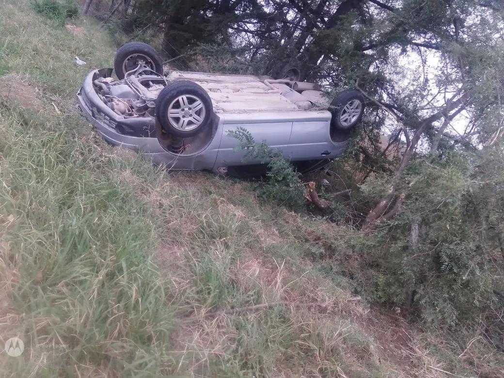 335157835_234629482354179_2229907510240217768_n